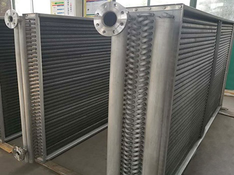 Finned tube bundle